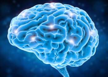 aviation psychology and human factors