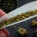 Cannabis use does not increase actual creativity but does increase how creative you think you are, study finds
