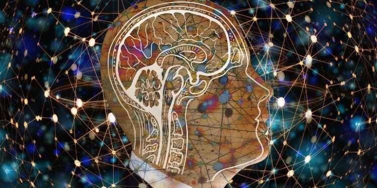 Stress Link in the Brain Confirmed