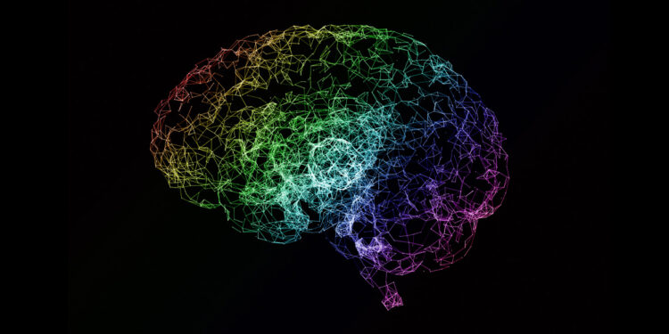 Neuroimaging study indicates bariatric surgery can reverse the accelerated brain aging caused by obesity