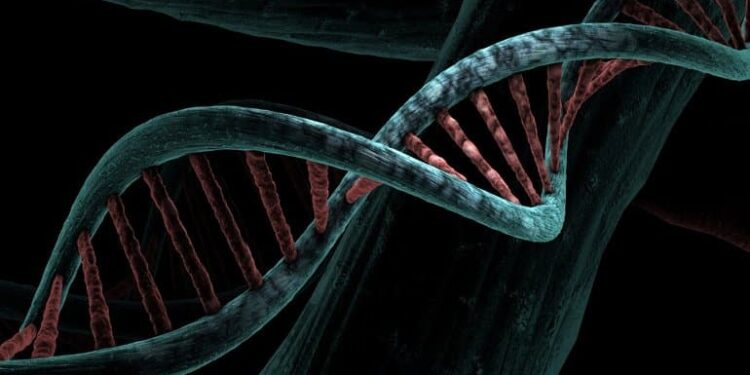 World’s Largest Autism Whole Genome Sequencing Study Reveals 134 Autism-Linked Genes