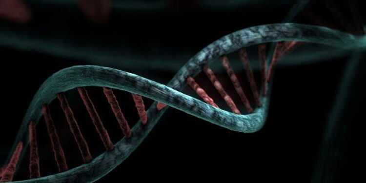 Genetic Markers for Autism, Hiding in Plain Sight