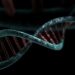Genetic Markers for Autism, Hiding in Plain Sight