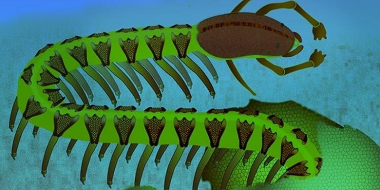 525-Million-Year-Old Fossil Defies Textbook Explanation for Brain Evolution