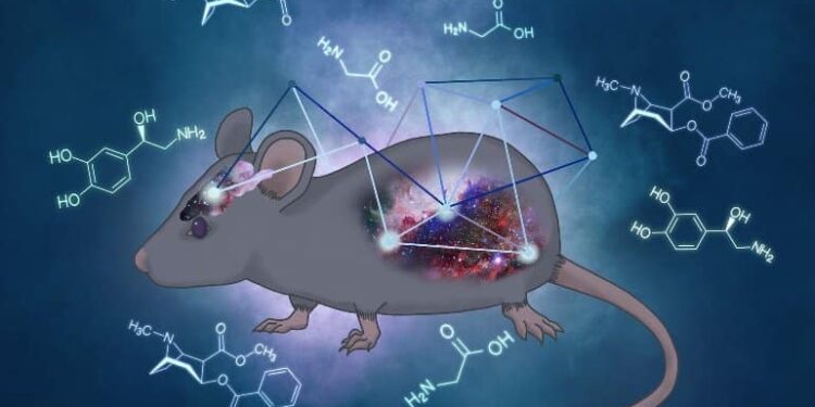 How Gut Bacteria Influence the Effects of Cocaine in Mice