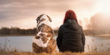A New Perspective on Grieving Loss of a Pet