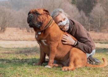 People Who Struggle to Cope With Stressful Situations Could Benefit From Owning a Pet
