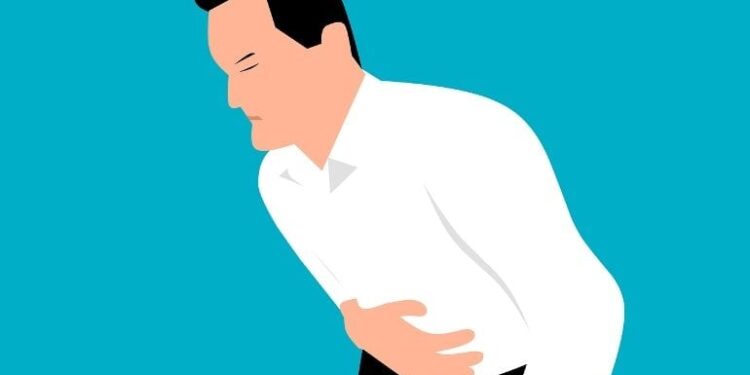 The Neural Pathways for Vomiting After Eating Infected Food