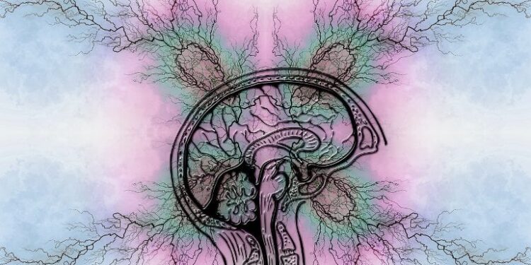 A Better Understanding of How the Most Commonly Used ADHD Medication Works