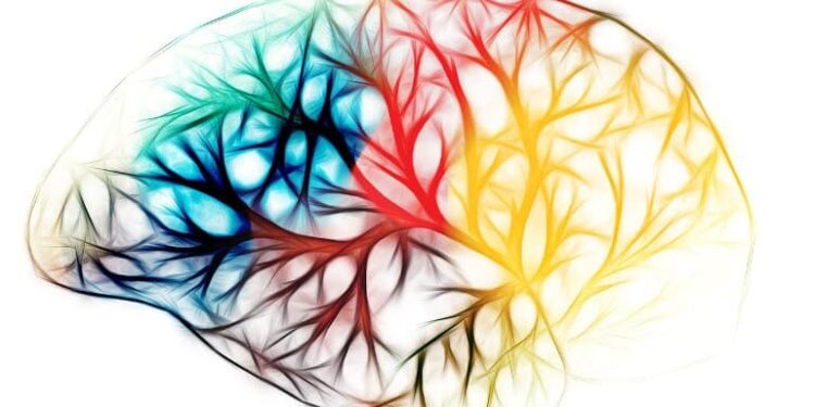 Immunotherapy Eliminates Disease-Causing Cells in Multiple Sclerosis-Like Disease
