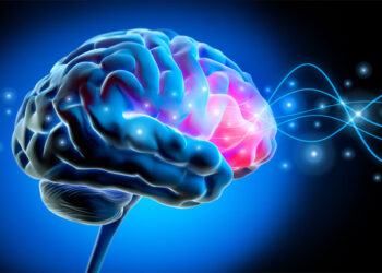 Electrical stimulation to a specific region of the brain can block the return of fear responses, study finds