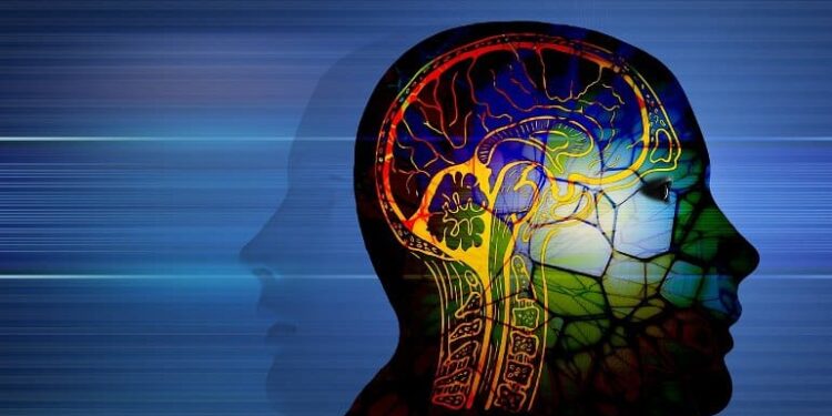 How Trauma Changes the Brain