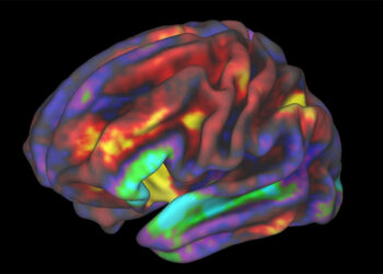 Children with autism show atypical neural activity when interacting with a humanoid robot, study finds