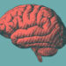 Reflexive fear responses tend to linger in people with anxiety disorders, study suggests