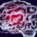 Brain imaging study provides insight into the capacity for malevolent creativity