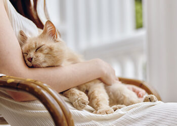 5 Reasons Routine Is Crucial for Mood Stability