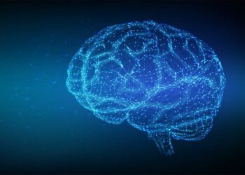 Digital Twin Approaches Enabled by Cutting-Edge Brain Modelling Advances