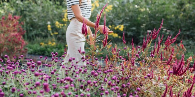 12 Spring Hobbies to Make the Most of the Season