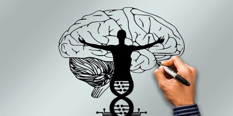 Genetic Driver of Anxiety Discovered