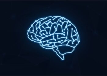Food for Thought: Nutrient Intake Linked to Cognition and Healthy Brain Aging