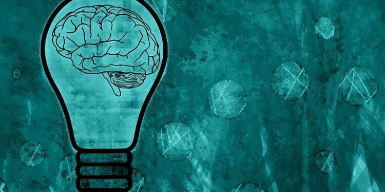 Unraveling the Genetic Mechanisms Behind Long-Lasting Memories in the Brain