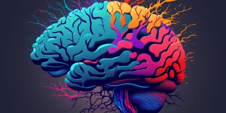A Brain Model Learns to Drive