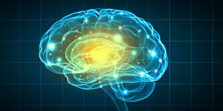 New psychology research sheds light on the cognitive mechanisms underlying loneliness