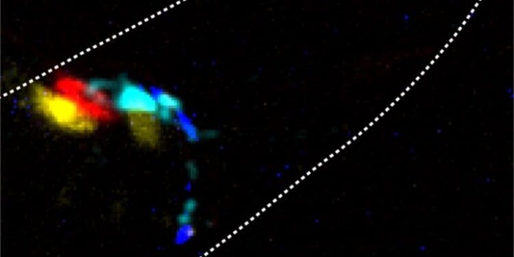 Using Photons as Neurotransmitters to Control the Activity of Neurons