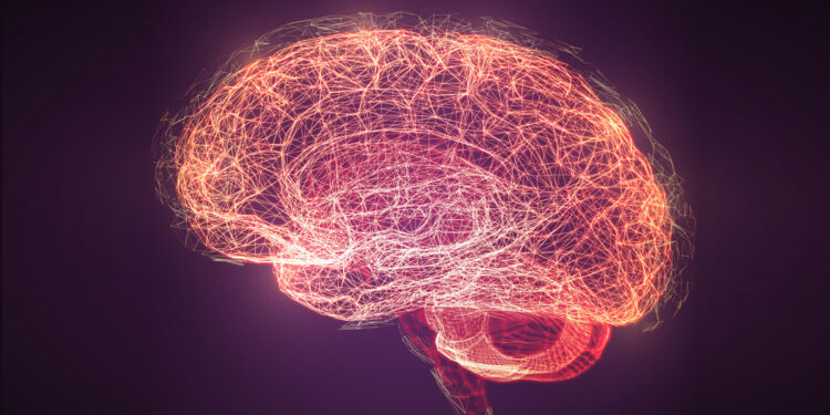 High blood pressure in young adulthood linked to worse brain health in later life, especially for men