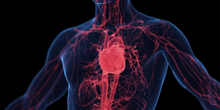 Anxiety is linked to heightened blood pressure and sympathetic nerve activity in otherwise healthy adults