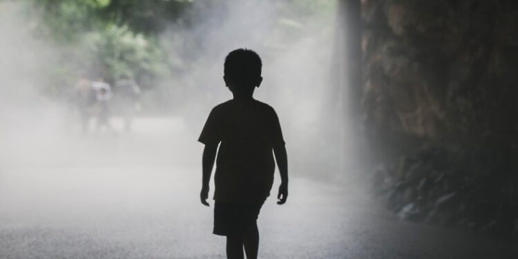 Adversity in Early Childhood Can Impair Brain Development