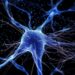 BigNeuron: Revolutionizing Neuron Reconstruction with AI