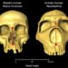 Neanderthal DNA Shapes Human Nose