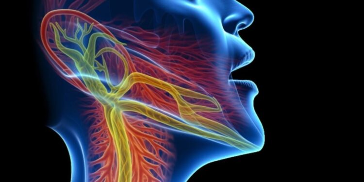 A Lot to Swallow: New SimulScan Technology Enhances Dysphagia Research