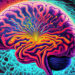 Psychedelic drugs like LSD could enhance the effects of brain simulation