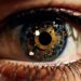 A Chip Off the Old Eye: Device Mimics Human Vision and Memory