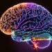 Brain imaging study reveals peculiarities in uncertainty processing in obsessive-compulsive disorder