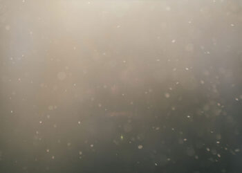 Do At-Home Mold Testing Kits Really Work?