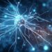 Neuro-Insights of the Week From Neuroscience News, October 1, 2023
