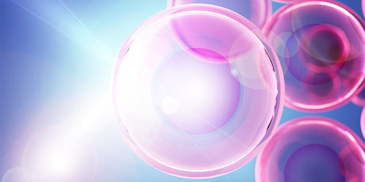 A new way to see the activity inside a living cell