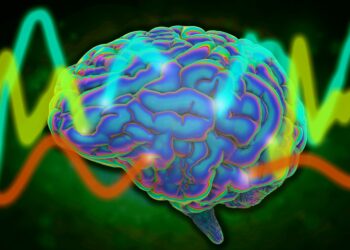 Study reveals a universal pattern of brain wave frequencies