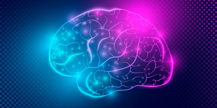 Creatine supplementation increases memory performance, study finds