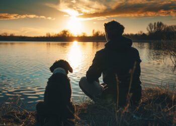 Paws for Thought: Dog Interaction Boosts Brainwaves and Relaxation