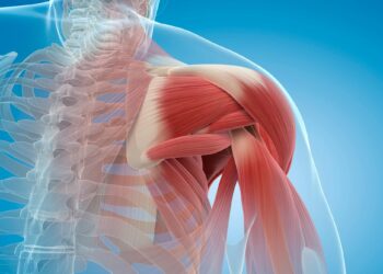 Revolutionary Study Reveals Why Our Muscles Weaken With Age