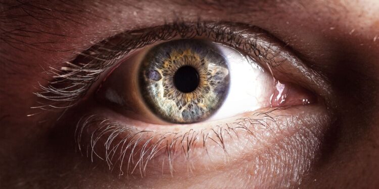 New research reveals an intriguing fact about human visual perception