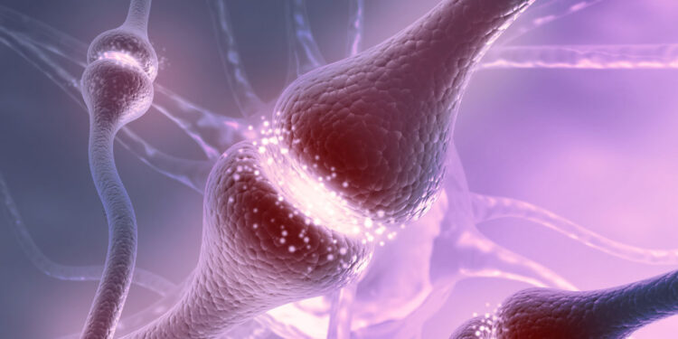 Intriguing connection found between serotonin and fertility