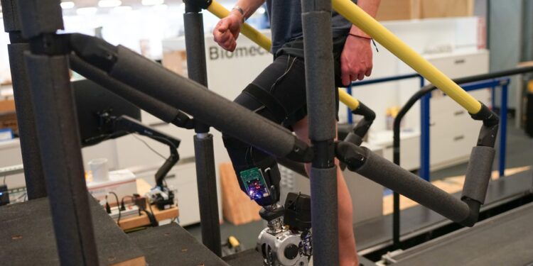 A prosthesis driven by the nervous system helps people with amputation walk naturally