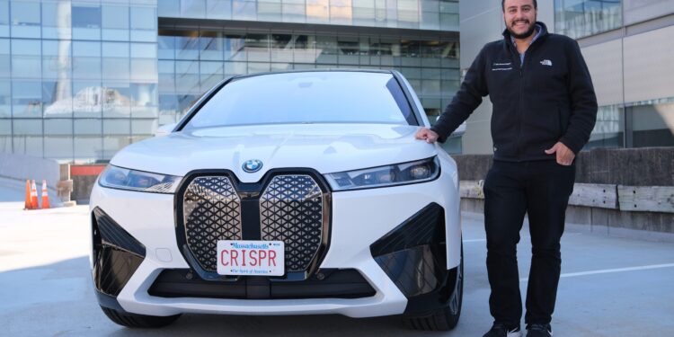 License plates of MIT – MIT McGovern Institute