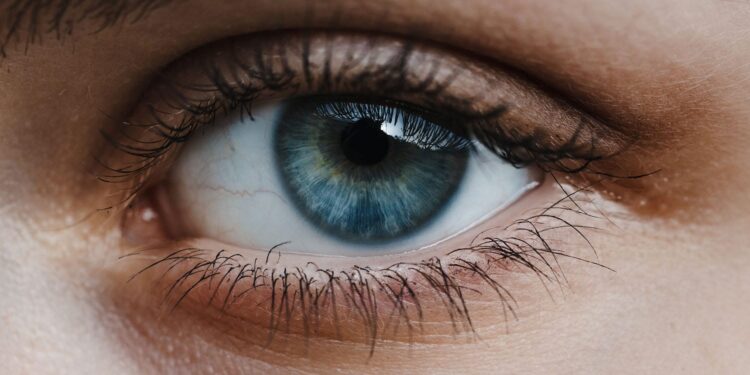 Scientists identify mysterious retinal cells that could alter our understanding of color perception