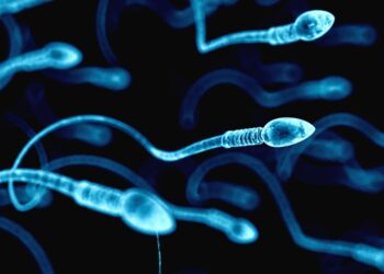 Chronic stress can alter genetic material in sperm, leading to changes in offspring behavior